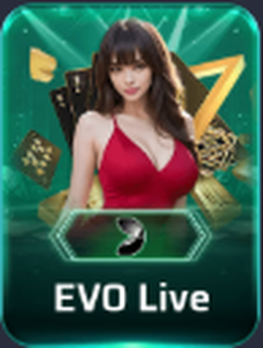EVO Live Live Dealer Game on 666C