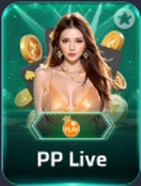 PP Live Live Dealer Game on 666C